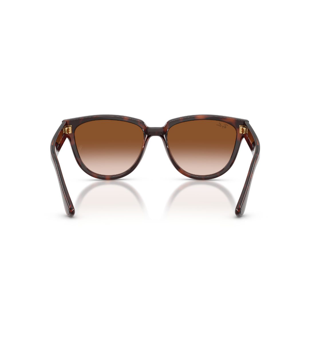 Gafas de Sol Ray-Ban RB4463L L71013