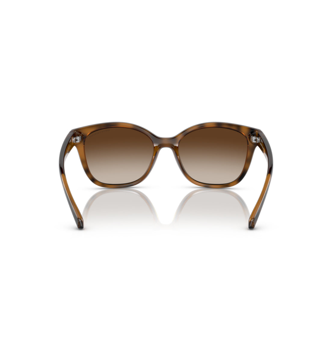 Gafas de Sol Armani Exchange AX4127 S821313