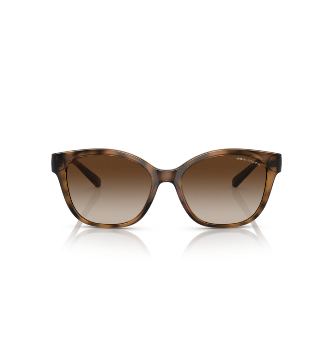 Gafas de Sol Armani Exchange AX4127 S821313