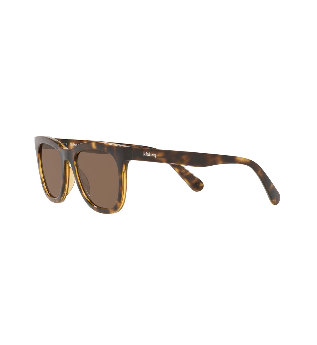 Gafas de Sol Kipling KP4065 H858