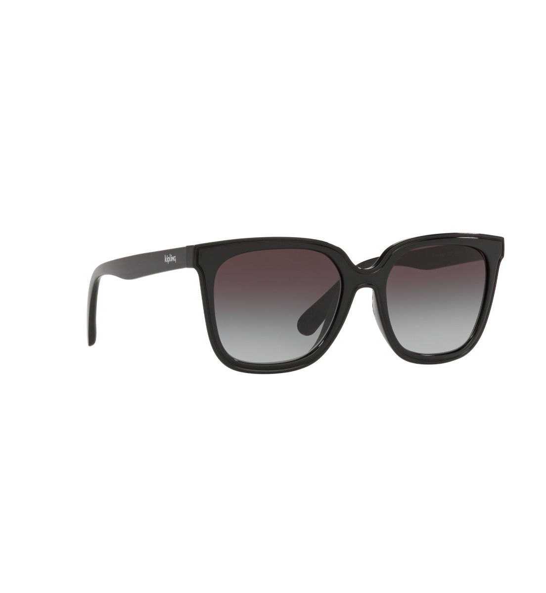 Gafas de Sol Kipling KP4068 I674