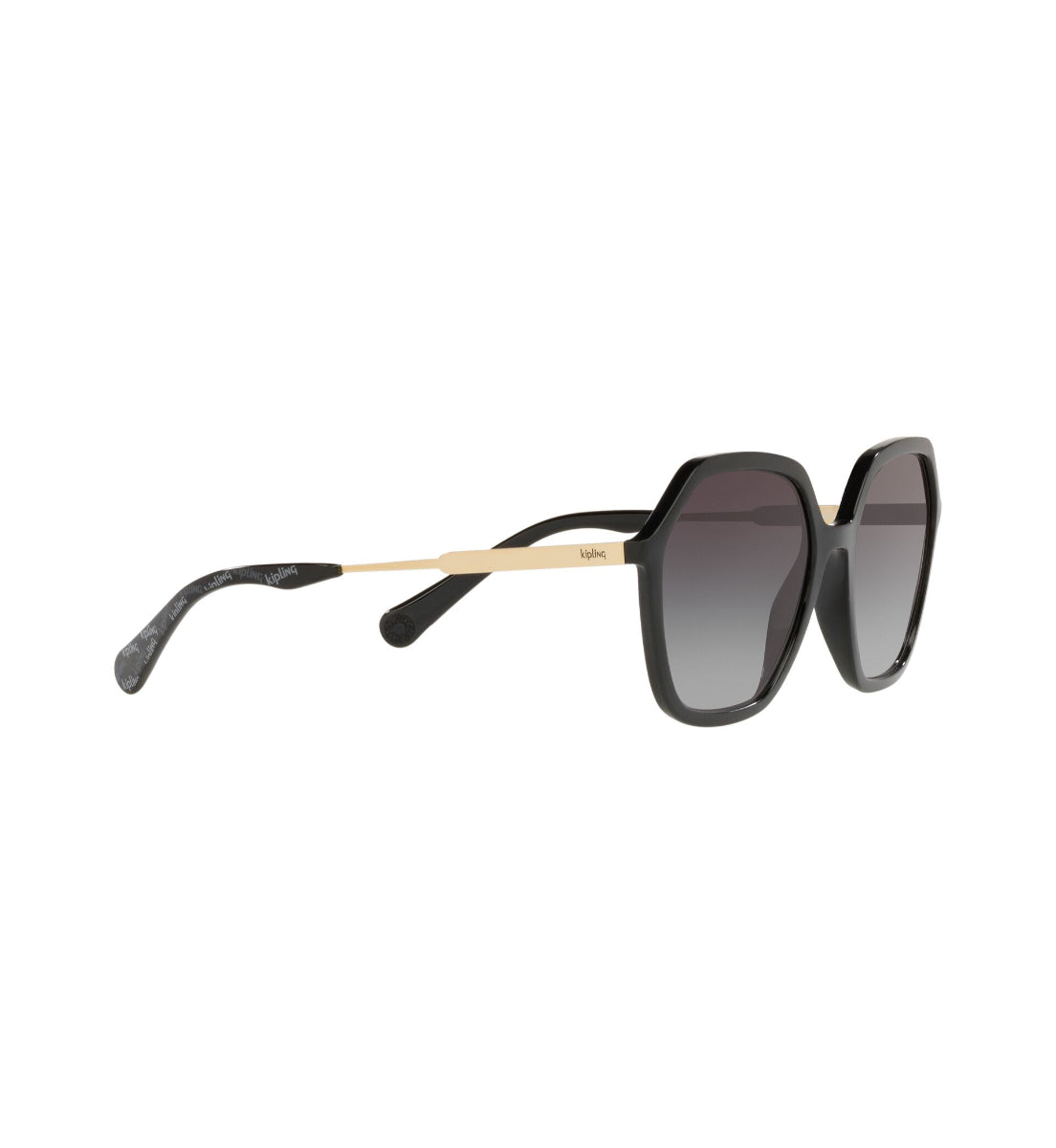 Gafas de Sol Kipling KP4070 J010