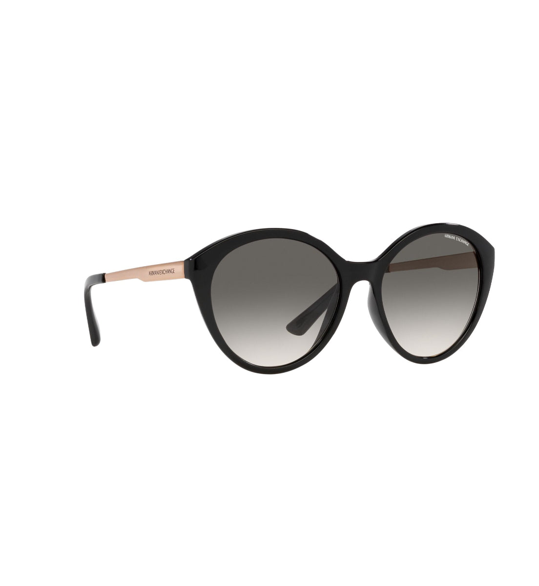 Gafas de Sol Armani Exchange AX4134 S815811
