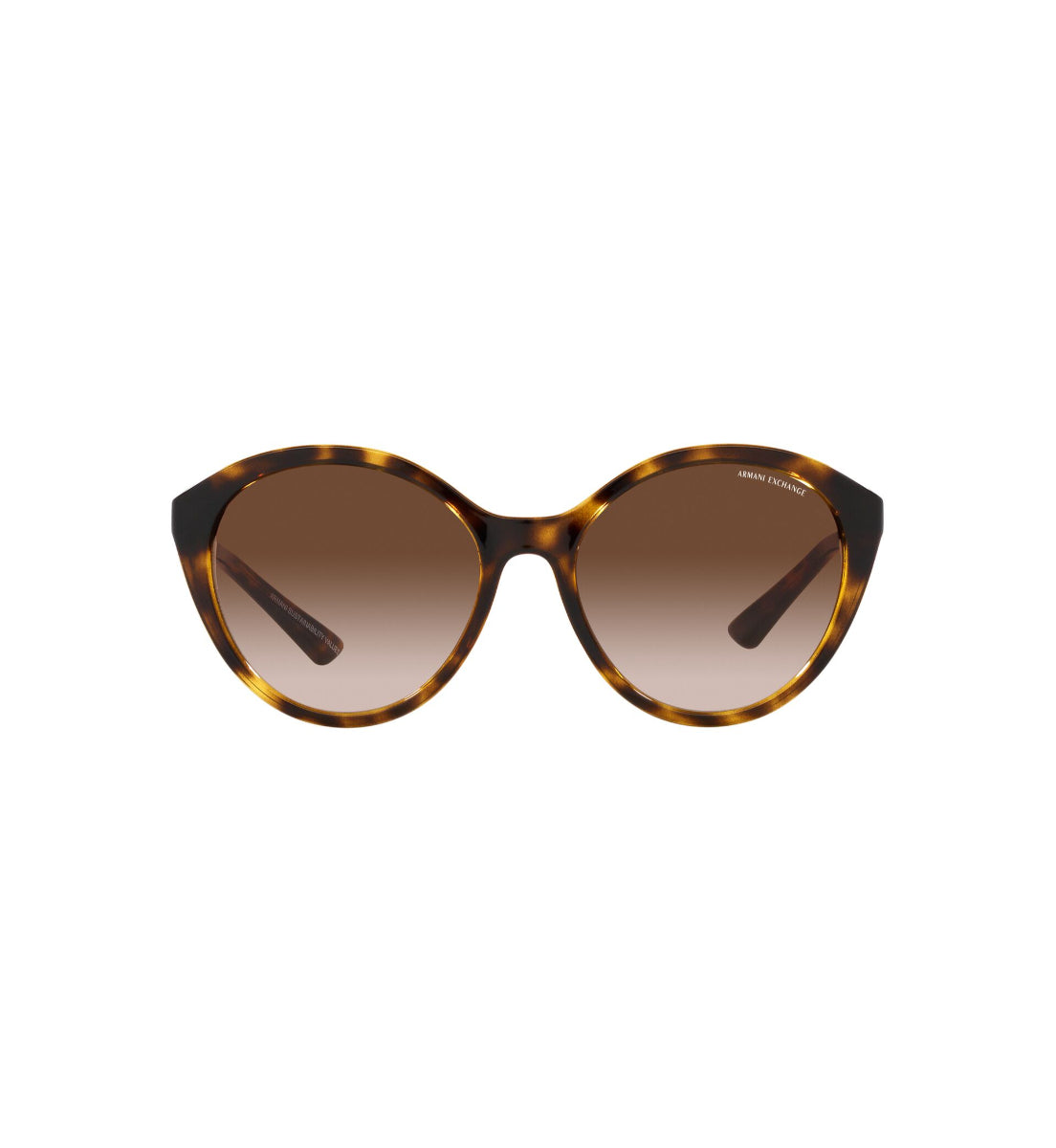 Gafas de Sol Armani Exchange AX4134 S821313