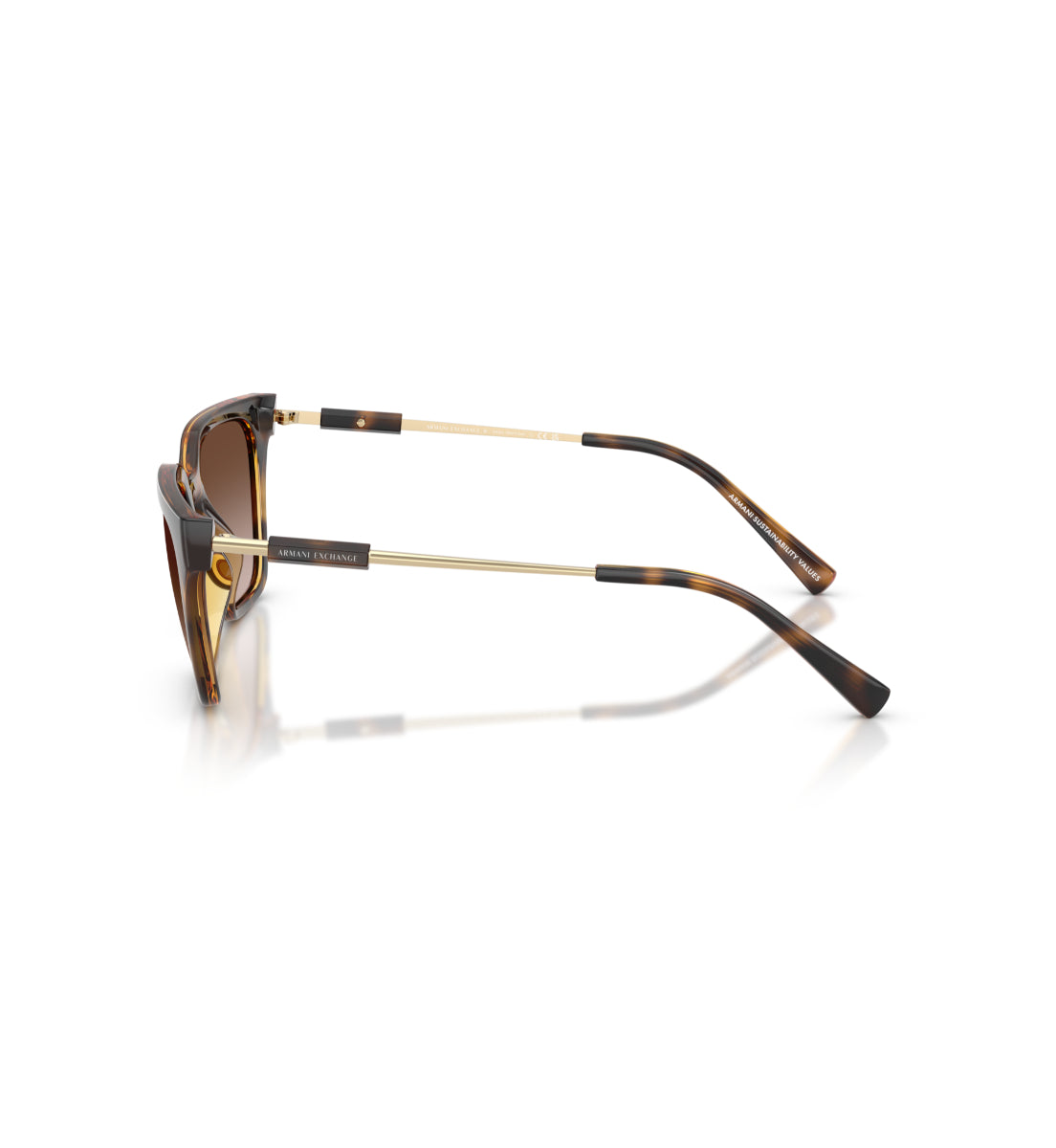 Gafas de Sol Armani Exchange AX4158 S821313
