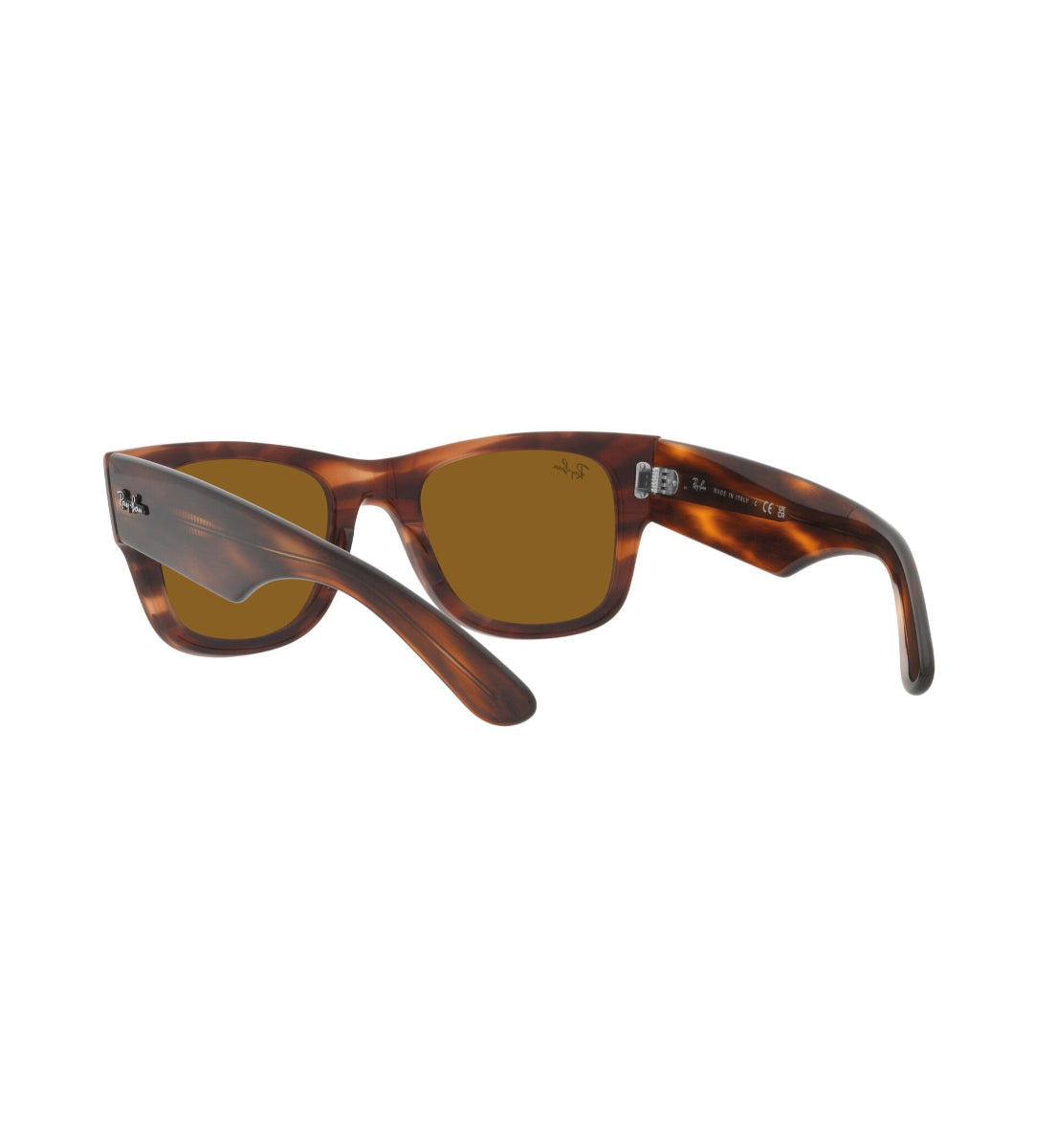 Ray-Ban Mega Wayfarer