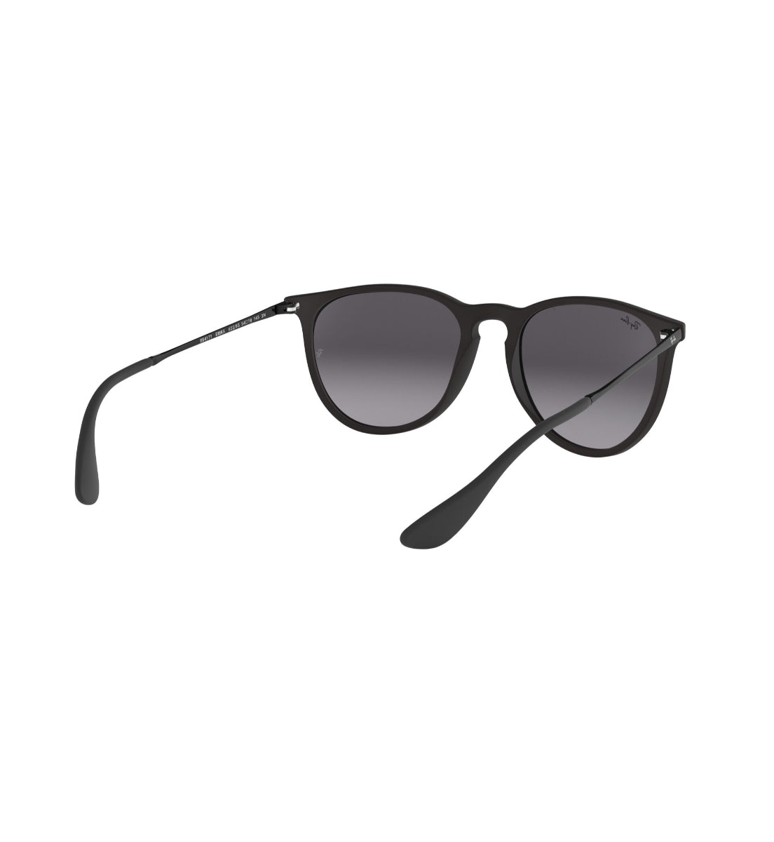Ray-Ban Erika BS
