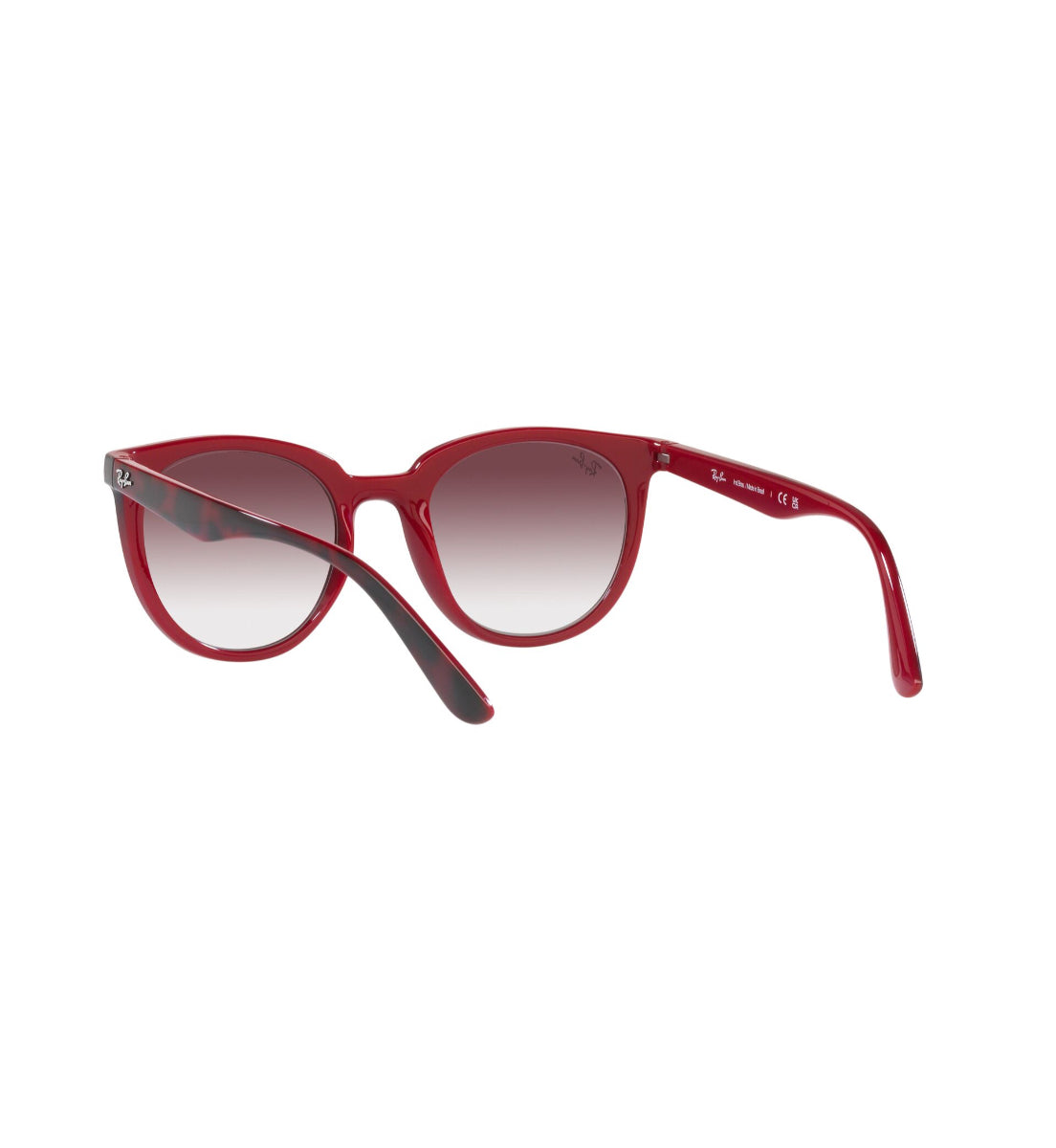 Ray-Ban Gafas de Sol
