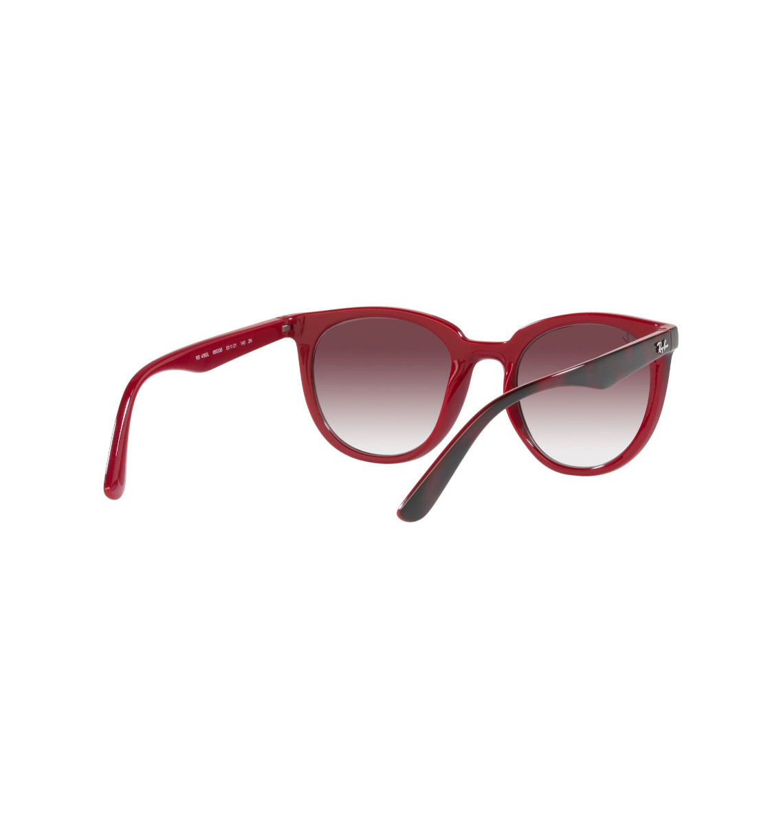 Ray-Ban Gafas de Sol