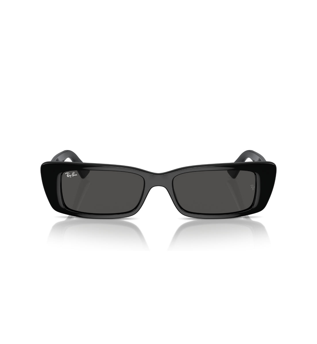 Gafas de Sol Ray-Ban Teru RB4425 667787 54