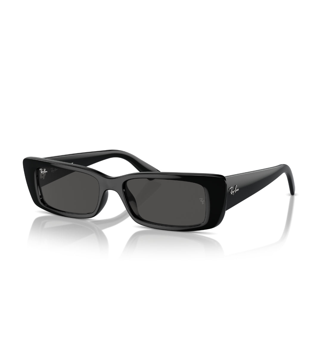 Gafas de Sol Ray-Ban Teru RB4425 667787 54