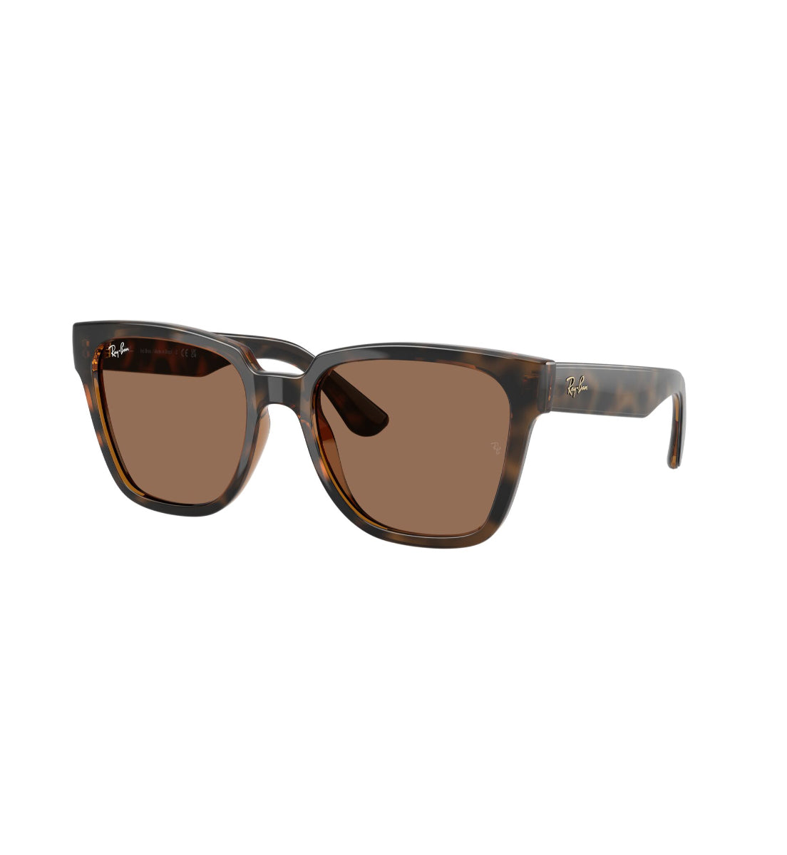 Ray-Ban Gafas de Sol