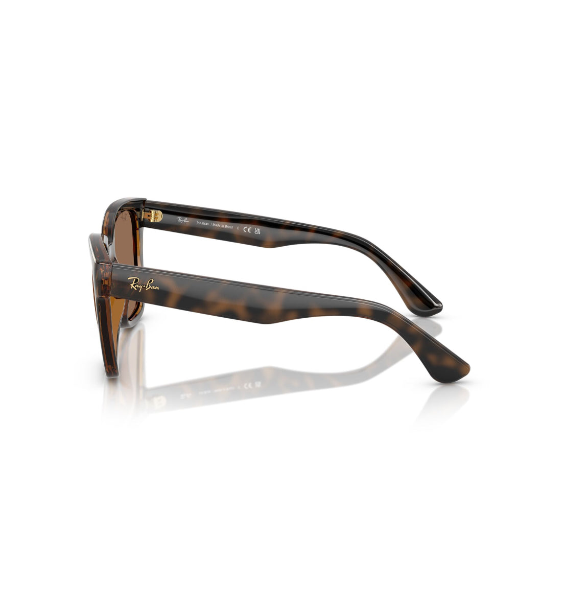 Ray-Ban Gafas de Sol