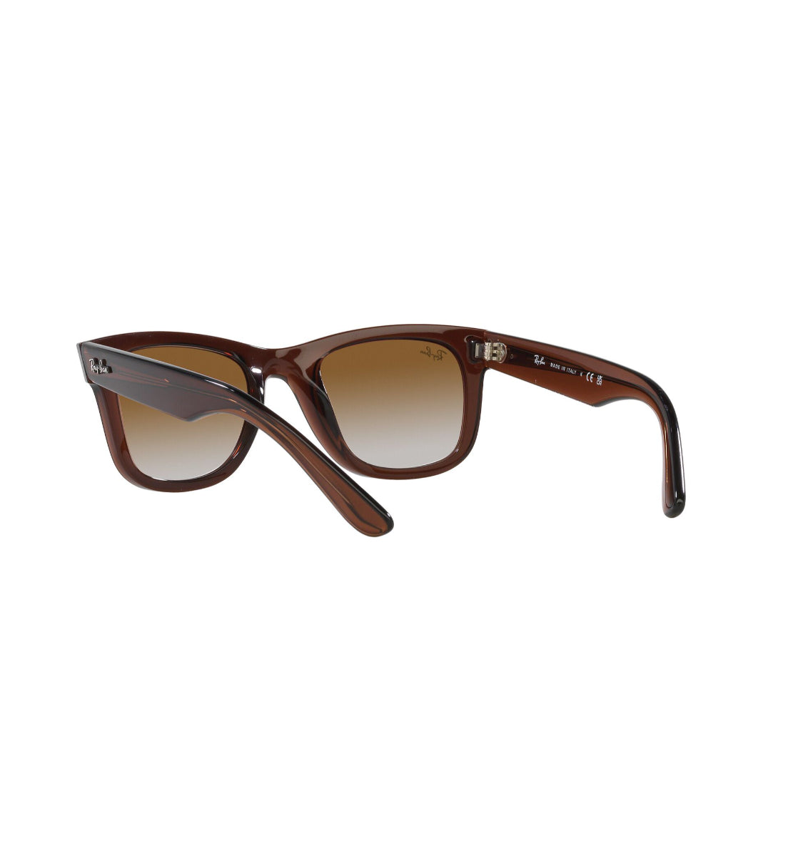 Ray-Ban Wayfarer Reverse